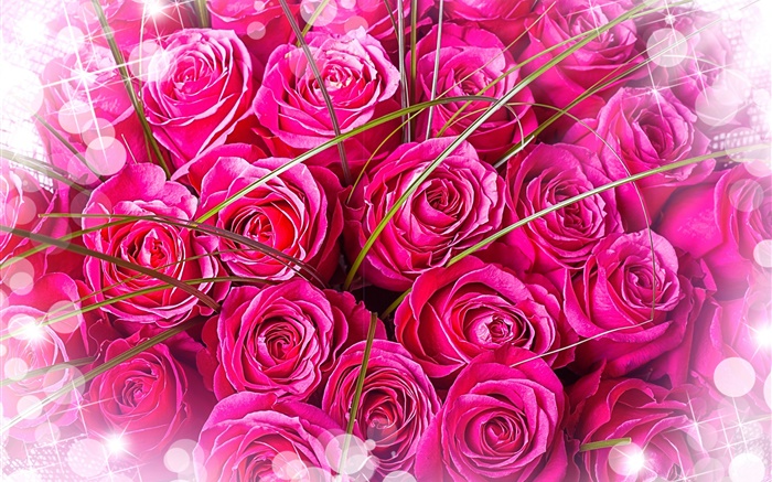 Pink roses, bouquet, glare Wallpapers Pictures Photos Images