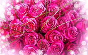 Pink roses, bouquet, glare HD wallpaper