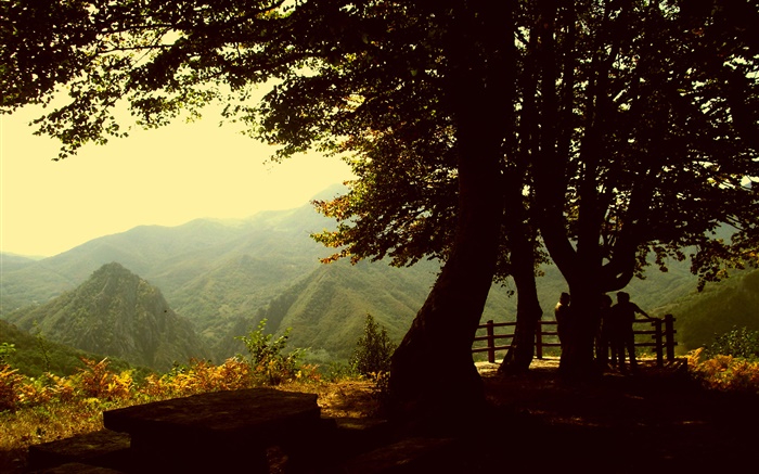 Trees, mountain, dusk Wallpapers Pictures Photos Images