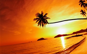 Tropical beach sunset, palm tree, Thailand HD wallpaper