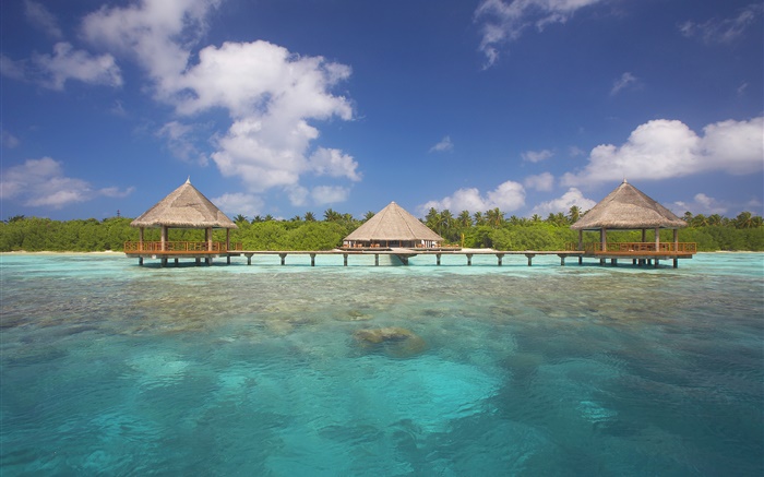 Tropical nature, palm trees, bungalow, sea, water Wallpapers Pictures Photos Images