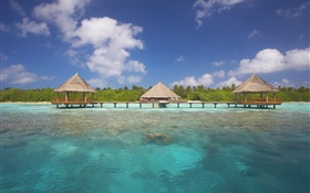 Tropical nature, palm trees, bungalow, sea, water HD wallpaper