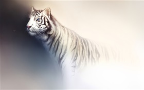 White tiger watercolor painting