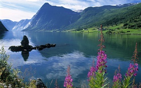 Lake, mountains, flowers, clouds HD wallpaper