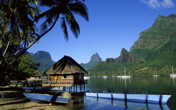 Resort, house, palm trees, sea, mountains Wallpapers Pictures Photos Images