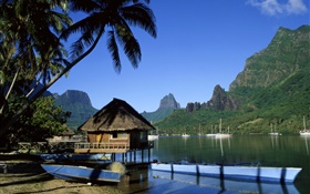 Resort, house, palm trees, sea, mountains HD wallpaper