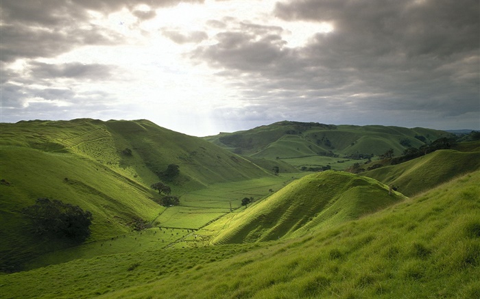 Mountains, green, grass, field, clouds, sunshine Wallpapers Pictures Photos Images