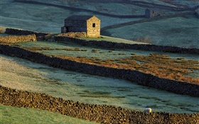 Stone house, fence, grass, sheep HD wallpaper