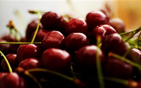 Cherry photography, fruit HD wallpaper