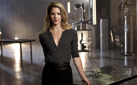 Felicity Smoak 01