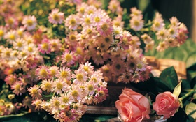 Pink flowers, rose and chamomile