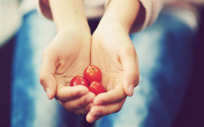 Small tomato in hands Wallpapers Pictures Photos Images