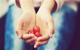 Small tomato in hands HD wallpaper