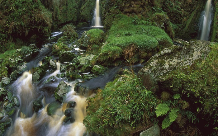 Waterfall, stream, stones, moss Wallpapers Pictures Photos Images