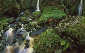 Waterfall, stream, stones, moss HD wallpaper