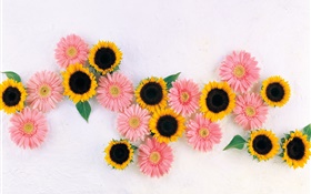 Yellow sunflowers, pink chamomiles HD wallpaper