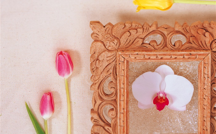 Pink tulips and white phalaenopsis Wallpapers Pictures Photos Images