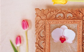 Pink tulips and white phalaenopsis HD wallpaper