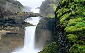 Waterfall, mountain, moss HD wallpaper