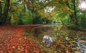 Autumn, river, trees, forest HD wallpaper