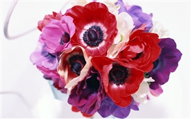 Different colors flowers, white, pink, purple, red HD wallpaper