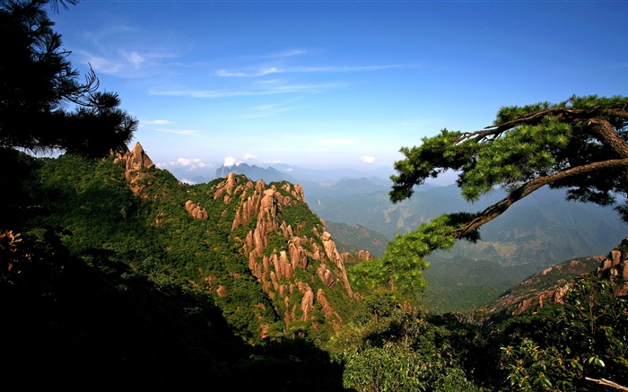 Mountains, trees, sky, nature landscape Wallpapers Pictures Photos Images