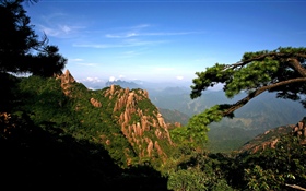 Mountains, trees, sky, nature landscape HD wallpaper