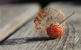 Plants fruit, physalis, wood board HD wallpaper