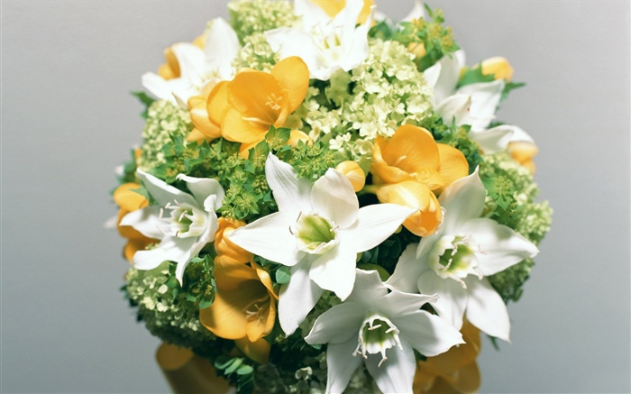 White daffodils, bouquet Wallpapers Pictures Photos Images