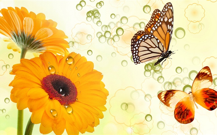 Yellow flowers and butterflies, creative design Wallpapers Pictures Photos Images
