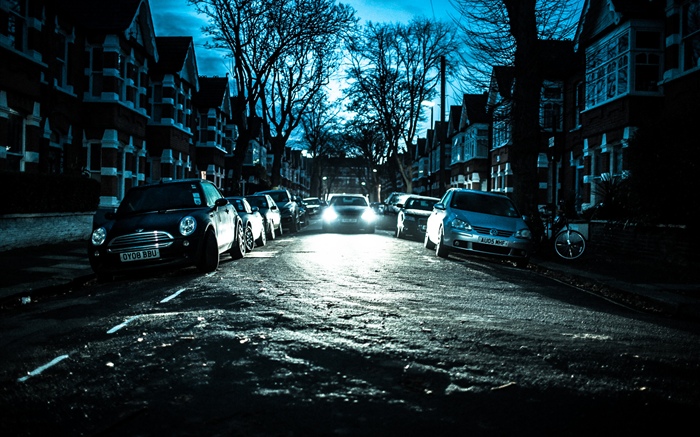 City, night, cars, trees, houses Wallpapers Pictures Photos Images