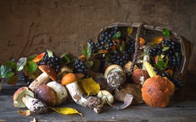 Mushrooms, basket HD wallpaper