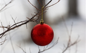 Red Christmas ball, twigs HD wallpaper