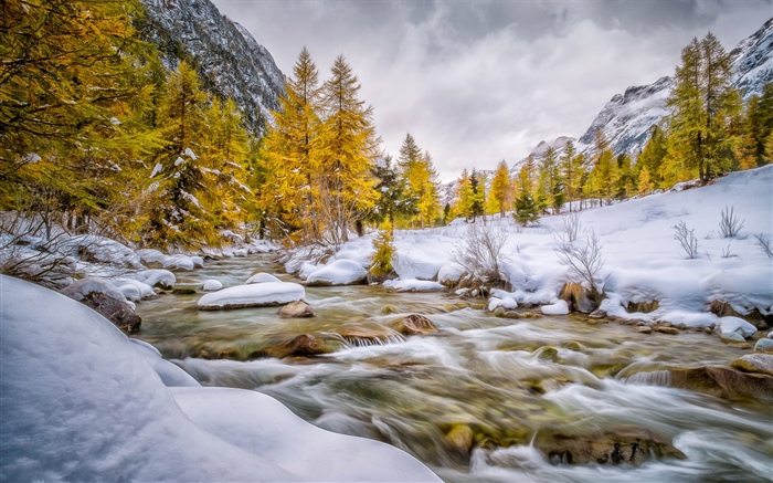 Winter, snow, trees, creek Wallpapers Pictures Photos Images