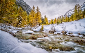 Winter, snow, trees, creek HD wallpaper