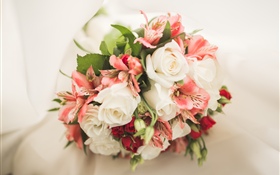 white rose and pink lily HD wallpaper