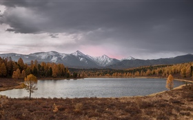 Altay, lake, trees, mountains, autumn HD wallpaper