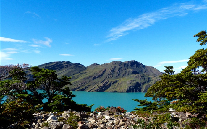 Argentina, Patagonia, lake, mountains, trees Wallpapers Pictures Photos Images