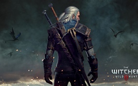 The Witcher 3: Wild Hunt HD wallpaper