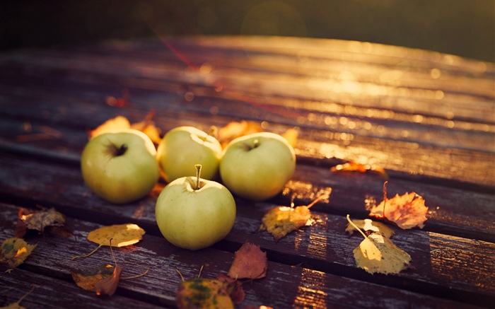 Apples, sunshine Wallpapers Pictures Photos Images