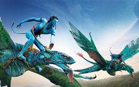 Avatar, flying, sky HD wallpaper