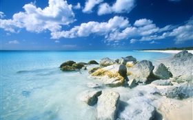 Bahamas, beach, sea, stones HD wallpaper