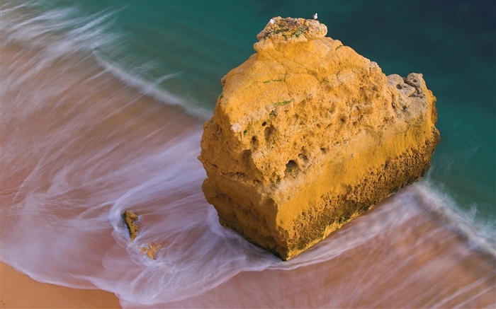 Beach, sea, rock, birds Wallpapers Pictures Photos Images
