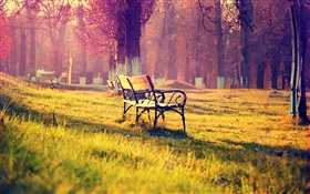 Beautiful autumn park, bench, trees, golden HD wallpaper