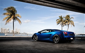 Blue Lamborghini supercar, palm trees HD wallpaper
