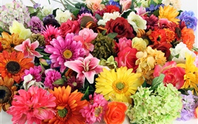 Colorful different kinds flowers HD wallpaper