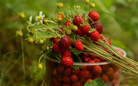Fresh strawberry HD wallpaper