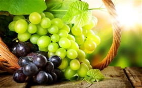 Green and red grapes, sun rays HD wallpaper
