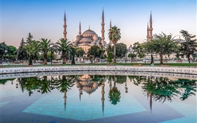 Istanbul, Turkey, mosque, trees, water HD wallpaper