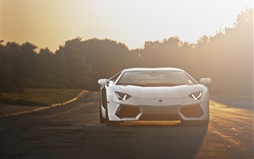 Lamborghini white supercar front view, sunlight HD wallpaper